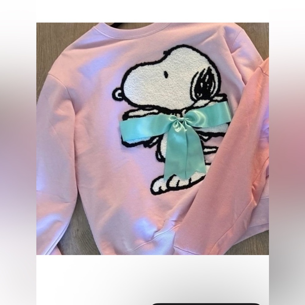 Snoopy Valentine Day Sweatshirt